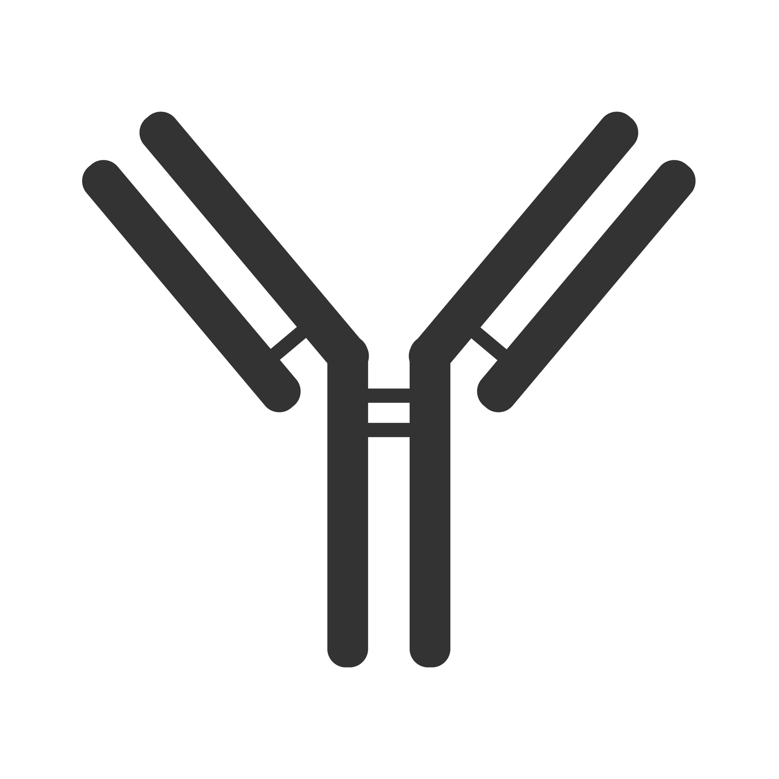 Immunoglobulin G isotype