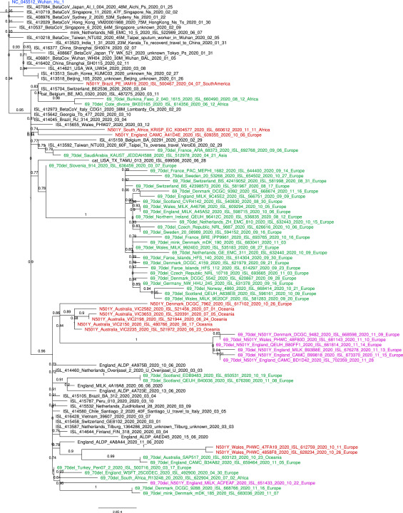 Phylogenetic tree of SARS-CoV-2