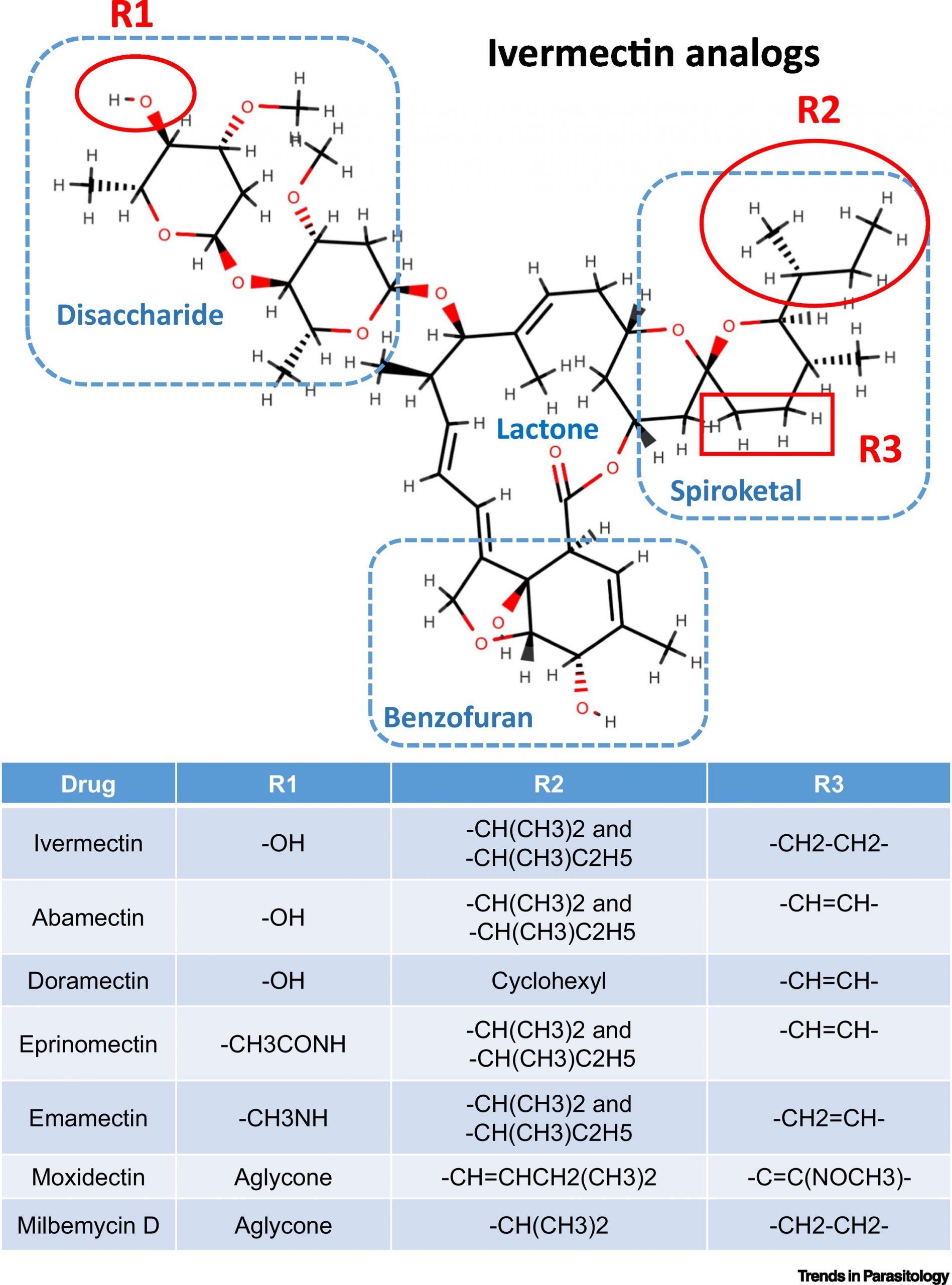 Ivermectin